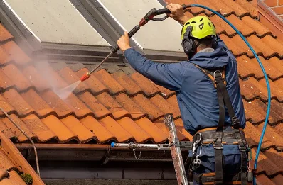 Démoussage et hydrofuge de toiture à la Genevroye